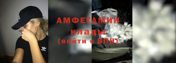 гашик Алексеевка