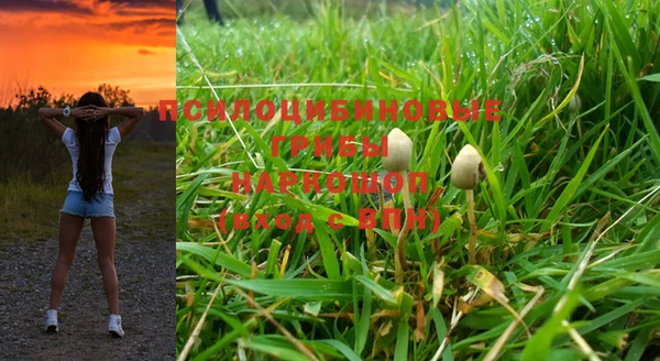 экстази Алзамай